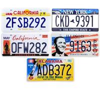 OPO 10 - Lote de 5 Placas de matrícula de automóviles de EE. UU. de Metal - réplicas de Placas Americanas Reales - Fabbri LF19