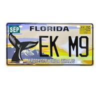 OPO 10 - Matrícula de Coche de EE.UU. - réplica en Metal: Florida (85)