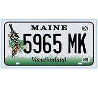 OPO 10 - Placa DE Licencia DE AUTOMÓVIL EE. UU. - Imitación en Metal 30x15 cms: Maine (C23)