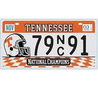 OPO 10 - Placa DE Licencia DE AUTOMÓVIL EE. UU. - Replica en Metal 30x15 cms: Tennessee (C42)