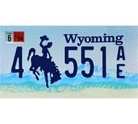 OPO 10 - Placa DE Licencia DE AUTOMÓVIL EE. UU. - Replica en Metal 30x15 cms: Wyoming (C50)