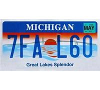 OPO 10 - Placa DE Licencia DE AUTOMÓVIL USA - Réplica en Metal 30x15 cms: Michigan (C26)