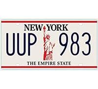 OPO 10 - Placa DE Licencia DE AUTOMÓVIL USA - Réplica en Metal 30x15 cms: Nueva York (C36)