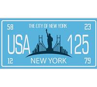 OPO 10 - Placa de matrícula de Coche USA - réplica en Metal 30x15 cm: Ciudad DE Nueva York (8137)