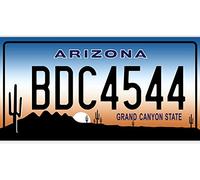 OPO 10 - Réplica de matrícula de Coche de EE. UU. en Metal (30 x 15 cm): Arizona (C03)