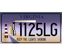 OPO 10 - Réplica de matrícula de Coche Estadounidense en Metal (30 x 15 cm): Virginia (C46)