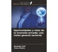 Oportunidades y retos de la inversión privada: una visión general sectorial