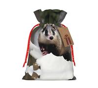 Opossum In Snow Print 1 bolsa con cordón de 4.7 x 6.9 pulgadas, duradera y elegante, ideal para regalos personalizados de Halloween