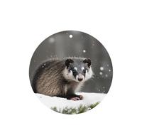 Opossum In Snow Printing - Ambientador para coche, 10 unidades, hojas colgantes perfumadas con cuerda para el hogar