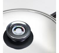 OPPAHA Termómetro Visiotherm Termo Control Tapa Olla - Perilla compatible con diferentes marcas y modelos - Rosca de latón 5 mm anti quemaduras - 1 unidad