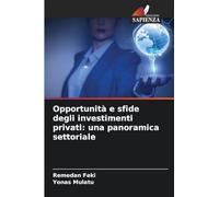 Opportunità e sfide degli investimenti privati: una panoramica settoriale