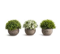 Opps Mini Plantas Artificiales de plástico con Flores de Hierba Verde Fresca en Maceta Gris para decoración del hogar, Juego de 3