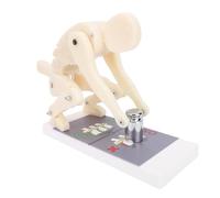 OPPWONG Modelo de Figura de Demostración de Levantamiento, Modelo de Levantamiento Correcto del Cuerpo Humano, de Enseñanza de Protección de la Columna Lumbar, Ideal para Protección de Cintura y