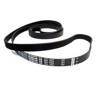 Optibelt-RB - Correa de secadora EPH 1904