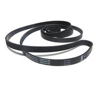 Optibelt-RB - Correa de Secadora PH 1904