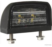 Ópticas / Faros / Bombillas > Ópticas y faros > Piloto de matrícula