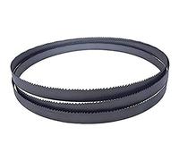 Optimum 3357548 - Cinta de sierra HSS bimetal (para sierra de mano quantum SQ-V10, grosor 0,65 mm, división de dientes 10-14 ZpZ, longitud 1140 mm)