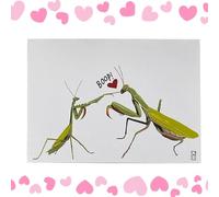 Opvonxeh Valentines Day Greeting Card, Cute Heartfelt Mensaje, Animal Theme Paper Card for Him, Her, Husband, Wife, Fiance, Wedding, Proposal, Reconciliación, Apology, Romantic Occasion Cards