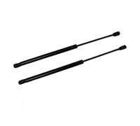 OQRDVVTT 2 Uds Soportes De Elevación Puntal De Puerta Trasera Barras Amortiguadoras 81770-2B001 para Hyundai para Santa Fe 2007 2008 2009-2012