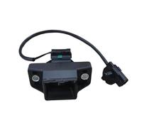 OQRDVVTT Cerradura Maletero Coche para R&enault para Dacia para Lodgy 2012 2013 2014 2015 2016 2017 2018 Cerradura Trasera Cerradura De Maletero Pestillo 905030012R Cierre Puerta Trasera