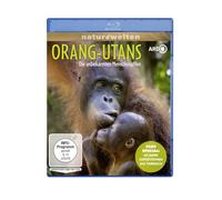Orang-Utans - Die unbekannten Menschenaffen (plus Special: 60 Jahre Expeditionen ins Tierreich) [Alemania] [Blu-ray]