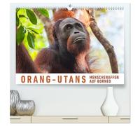 Orang-Utans Menschenaffen auf Borneo (hochwertiger Premium Wandkalender 2026 DIN A2 quer), Kunstdruck in Hochglanz: Besuch bei den Orang Utans im Tanjung Puting Nationalpark auf Borneo