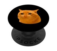 Orange Cat Funny Crying Cat Meme Hilarious Weird Cat Face PopSockets PopGrip Adhesivo