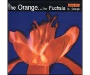 Orange - Fuchsia Is Orange