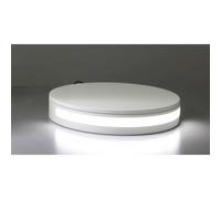 Luz continua de estudio Orangemonkie M1000R halógeno 5700K blanca 12V