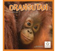 Orangutan - Orang-Utan 2026 - Wand-Kalender: Original Carousel-Kalender [Mehrsprachig] [Kalender]