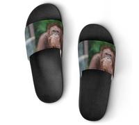 Orangutans Posting Thinking - Pantuflas de casa para hombre, sandalias de baño para ducha, Estilo:, 39.5 EU