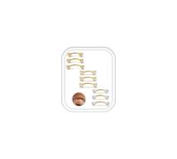 ORAZIO Piercing Ceja Rook Oro Acero Quirurgico 16G Barra Curva 9 Piezas