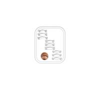 ORAZIO Piercing Ceja Rook Plata Acero Quirurgico 16G Barra Curva 9 Piezas