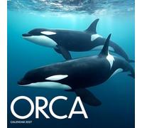 Orca Calendar 2027: Ocean Wildlife and Coastal Waters