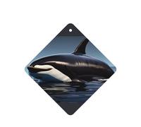 Orca Killer Whale Print Print - Ambientador para coche, 10 unidades, hojas colgantes perfumadas con cuerda para el hogar