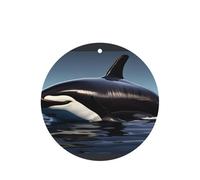 Orca Killer Whale Print Print - Ambientador para coche, 10 unidades, hojas colgantes perfumadas con cuerda para el hogar