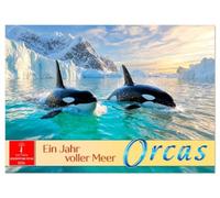 Orcas - ein Jahr voller Meer (Wandkalender 2026 DIN A4 quer), CALVENDO Monatskalender: Einzigartige Momente - Orcas in ihrer wahren Heimat.