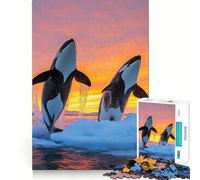 Orcas Saltando al Atardecer en Aguas heladas para Adultos Rompecabezas de 1000 Piezas Juguete Que desafía la Mente Pieza de colección de Arte de Corte de Calidad para una escapada Tranquila (38x52cm)