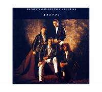 Orchestral Manoeuvres In The Dark - OMD - Secret (Single 12") [Vinyl record] [Schallplatte]