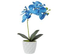 Orchid azul, 11.4x7.1 pulgadas de seda realista Orquídea artificial con olla de cerámica de 3.5 pulgadas, bonsai artificial para hogar, oficina, fiesta, boda, decoración del hotel falso, azul.