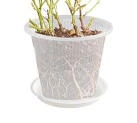 Orchid Pot - Flower Pots with Holes and Saucer | Clear Vessels with Drainage Slits & Detachable Trays for Cacti, Phalaenopsis, Roses and Pansies