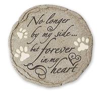 Orchid Valley Marcador de tumba para pérdida de mascotas, piedra conmemorativa No longer by my side but forever in my heart with Paw Prints. Regalo de condolencias para gatos o perros. Artículo de