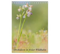 Orchideen in freier Wildbahn (Tischkalender 2026 DIN A5 hoch), CALVENDO Monatskalender: Eine kleine Auswahl an einheimischen Orchideen.