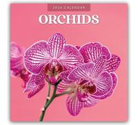 Orchids 2026 Square Wall Calendar: Original Red Robin Publishing Ltd-Kalender [Mehrsprachig] [Kalender]