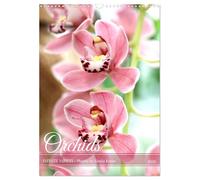 Orchids - Infinite Variety (Wall Calendar 2026 DIN A3 portrait), CALVENDO 12 Month Wall Calendar: Diverse orchid flowers in expressive photographs