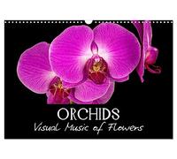 Orchids (Wall Calendar 2026 DIN A3 landscape), CALVENDO 12 Month Wall Calendar: Visual Music of Flowers
