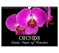 Orchids (Wall Calendar 2026 DIN A4 landscape), CALVENDO 12 Month Wall Calendar: Visual Music of Flowers