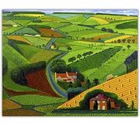 ORCOW Póster e Impresiones de David Hockney, Pintura en Lienzo de Camino a través de Wals, Arte de Pared estético para Sala de Estar, decoración del hogar, Imagen 40x60 sin Marco