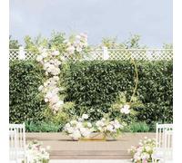 Ordellia Arco de boda dorado de acero, 195 x 35 x 211 cm, en forma de corazón, para jardín, balcón, terraza, como arco de rosas, pérgola, enrejado y arco de flores para eventos y entrada