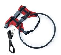 ordinarYone Collar protector para mascotas con correa integrada para un uso seguro en interiores y exteriores, diseño de poliéster transpirable ajustable